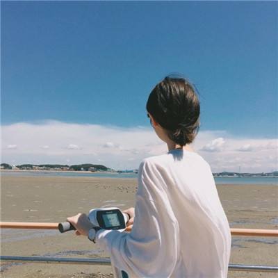 亚萨宠物办公室官方版下载