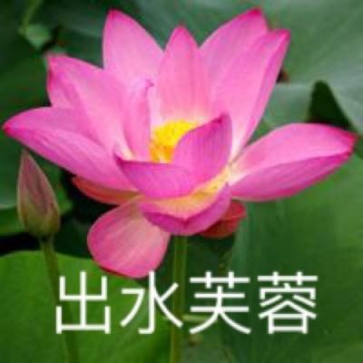 卡德里亚道具屋单机版下载